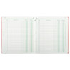 Piqûre 21x19cm recettes-dépenses 80 pages