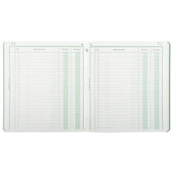 Piqûre 21x19cm recettes-dépenses 80 pages