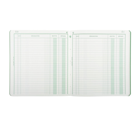 Piqûre 21x19cm recettes-dépenses 80 pages
