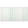 Piqûre 21x19cm recettes-dépenses 80 pages