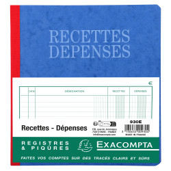 Piqûre 21x19cm recettes-dépenses 80 pages