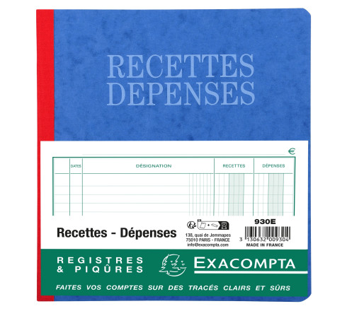 Piqûre 21x19cm recettes-dépenses 80 pages