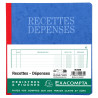 Piqûre 21x19cm recettes-dépenses 80 pages
