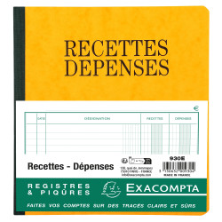 Piqûre 21x19cm recettes-dépenses 80 pages