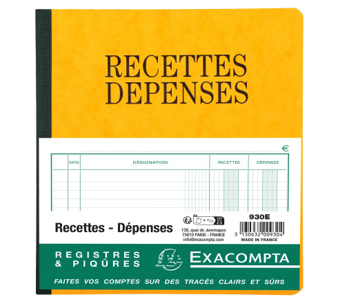 Piqûre 21x19cm recettes-dépenses 80 pages