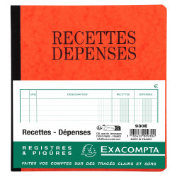 Piqûre 21x19cm recettes-dépenses 80 pages