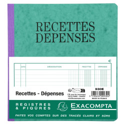 Piqûre 21x19cm recettes-dépenses 80 pages