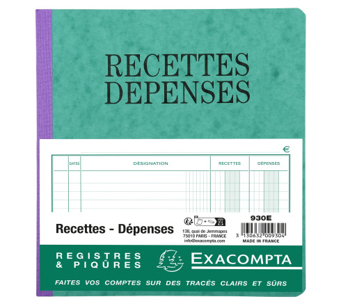 Piqûre 21x19cm recettes-dépenses 80 pages