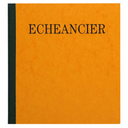 Piqûre 21x19cm échéancier tracé journal 80 pages
