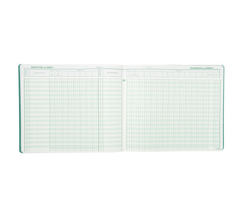 Piqûre Journal de caisse ou banque 27x32cm à tête paresseuse 2 libellés : 6 crédit et 13 débit - 31 lignes - 80 pages