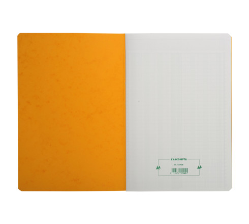 Piqûre 29,7x21cm à tête paresseuse 4 colonnes sur 1 page - 34 lignes - 80 pages