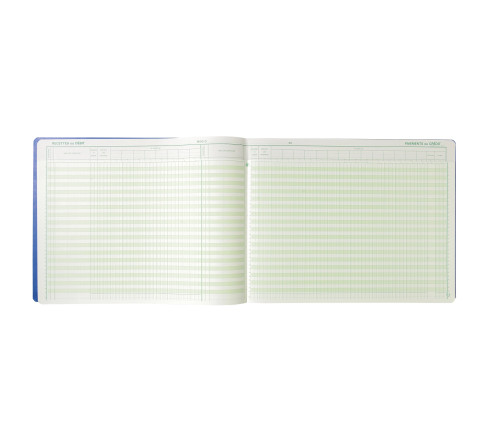Piqûre Journal de caisse ou banque 29,7x38cm à tête paresseuse - collones ventilation : 17 débit, 9 crédit - 33 lignes - 80