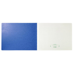 Piqûre Journal de caisse ou banque 29,7x38cm à tête paresseuse - collones ventilation : 17 débit, 9 crédit - 33 lignes - 80