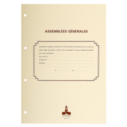 Recharge 297X210 Assemblées générales , Conseil d'administration 100 feuillets foliotés 90g + gardes