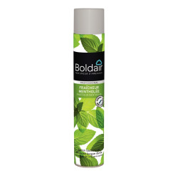 Aérosol 500ml désodorisant bactéricide menthe