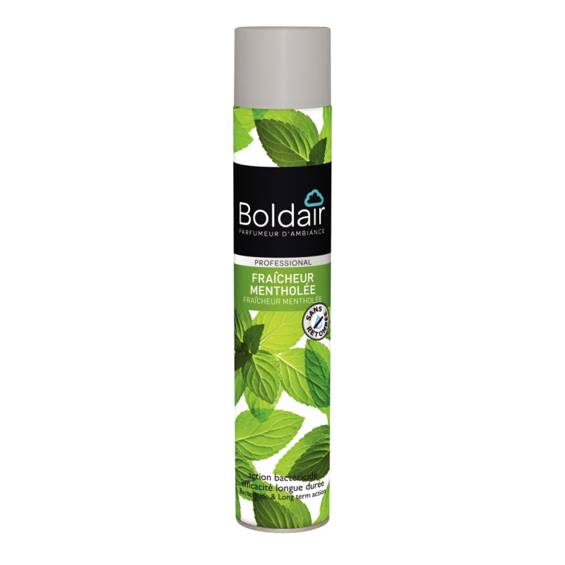 Aérosol 500ml désodorisant bactéricide menthe