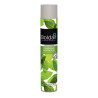 Aérosol 500ml désodorisant bactéricide menthe