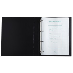 Reliure registre 32x26cm 4 anneaux avec recharge de 100 feuillets imprimés - Mouvements de titres