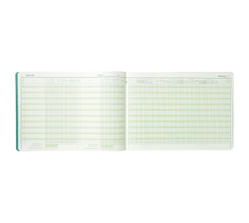 Piqûre 27x38cm - Journal des Recettes Dépenses des Professions libérales 80 pages