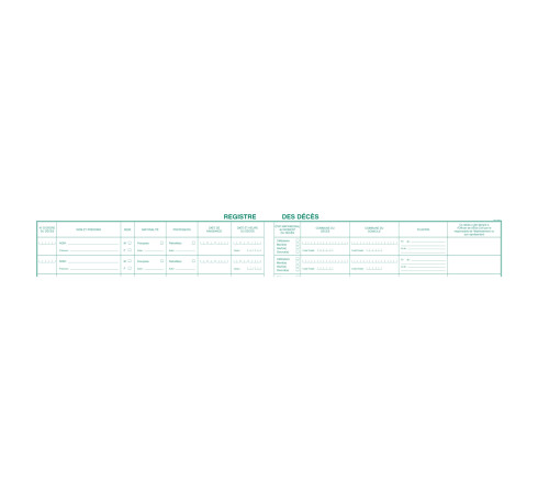 Registre 24x32cm des décès pour les hôpitaux, établissements sociaux (maisons de retraite) ou médico-sociaux - 100 pages