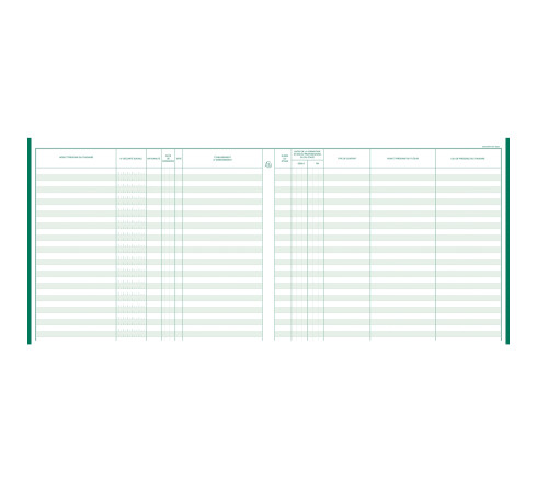 Piqûre 27x32cm - Registre unique du personnel (salariés et stagiaires) - 56 pages