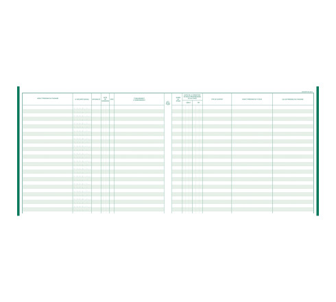 Registre 27x32cm - Registre unique du personnel (salariés et stagiaires) - 100 pages