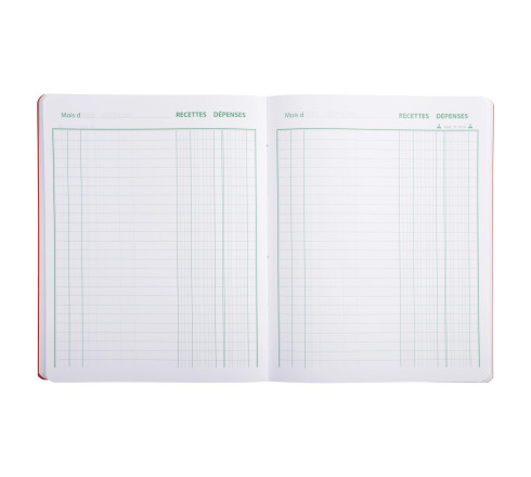 Piqûre 220X170 Recettes-dépenses 80 pages