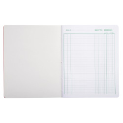 Piqûre 220X170 Recettes-dépenses 80 pages