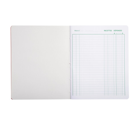 Piqûre 220X170 Recettes-dépenses 80 pages
