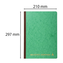 Piqûre 297X210 Recettes-dépenses 80 pages