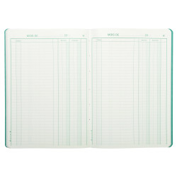 Piqûre 297X210 Recettes-dépenses 80 pages