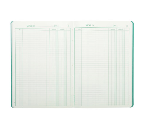 Piqûre 297X210 Recettes-dépenses 80 pages