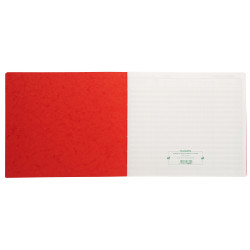 Piqûre 27x32cm Journal de caisse ou banque 13 débits - 6 crédits 31 lignes 80 pages