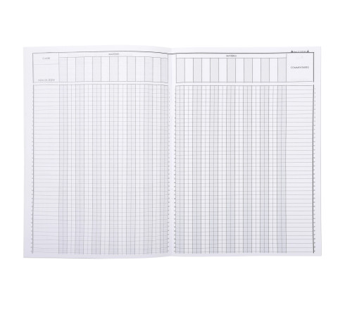 Cahier de notes et de bord du professeur, 297X210, 48 pages