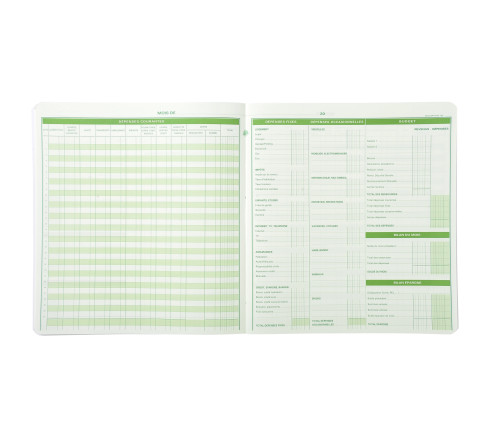 Piqûre de comptabilité et organisation familiale 27x25cm - Budget dépenses ménagères 56 pages