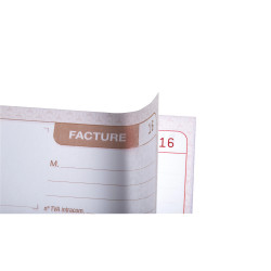 Manifold autocopiant 210X148 Factures 50 dupli