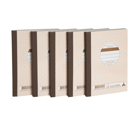 Lot de 5 manifolds - papier autocopiant - quadrillés 5x5 - petits carreaux - duplicata - 50 feuilles - format 14,8 x 10,5 cm -