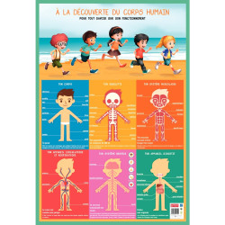 Poster en PVC 76x52 cm le corps humain