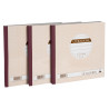 Lot de 3 manifolds LIVRAISONS - papier autocopiant - triplicata (1 original et 2 copies) - 50feuilles - format 21 x 21 cm - couv
