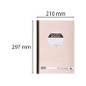 Manifold autocopiant 297X210 Recettes Dépenses 50 dupli