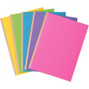Paquet de 10 chemises rigides ROCK"S 320g dos toilé, coloris assortis
