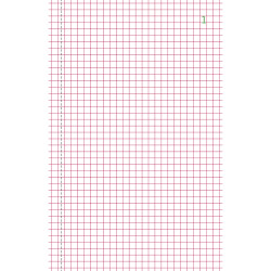 Manifold quadrillé 5x5 21x13,5cm 50 feuillets dupli autocopiants