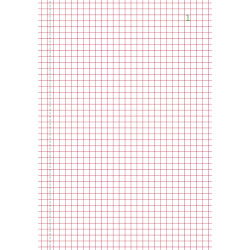 Manifold quadrillé 5x5 21x14,8cm 50 feuillets dupli autocopiants