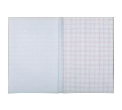 Manifold quadrillé 5x5 29,7x21cm 50 feuillets dupli autocopiants