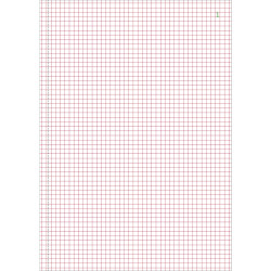 Manifold quadrillé 5x5 29,7x21cm 50 feuillets dupli autocopiants
