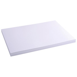 Étui de 100 fiches - bristol uni non perforé 297x420mm