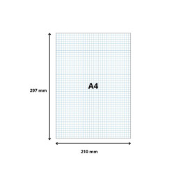 Étui de 100 fiches - bristol quadrillé 5x5 non perforé 210x297mm