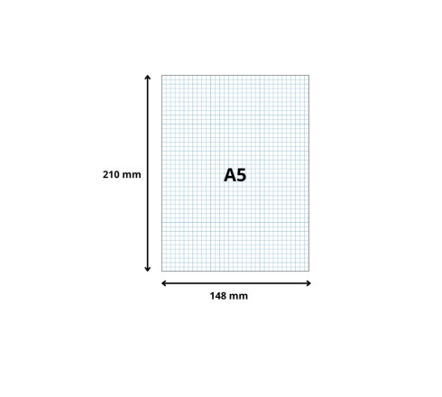 Étui de 100 fiches - bristol quadrillé 5x5 non perforé 148x210mm