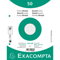Paquet 50 fiches sous film - bristol quadrillé 5x5 perforé 170x220mm