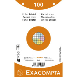 Paquet 100 fiches sous film - bristol quadrillé 5x5 perforé - 125x200mm